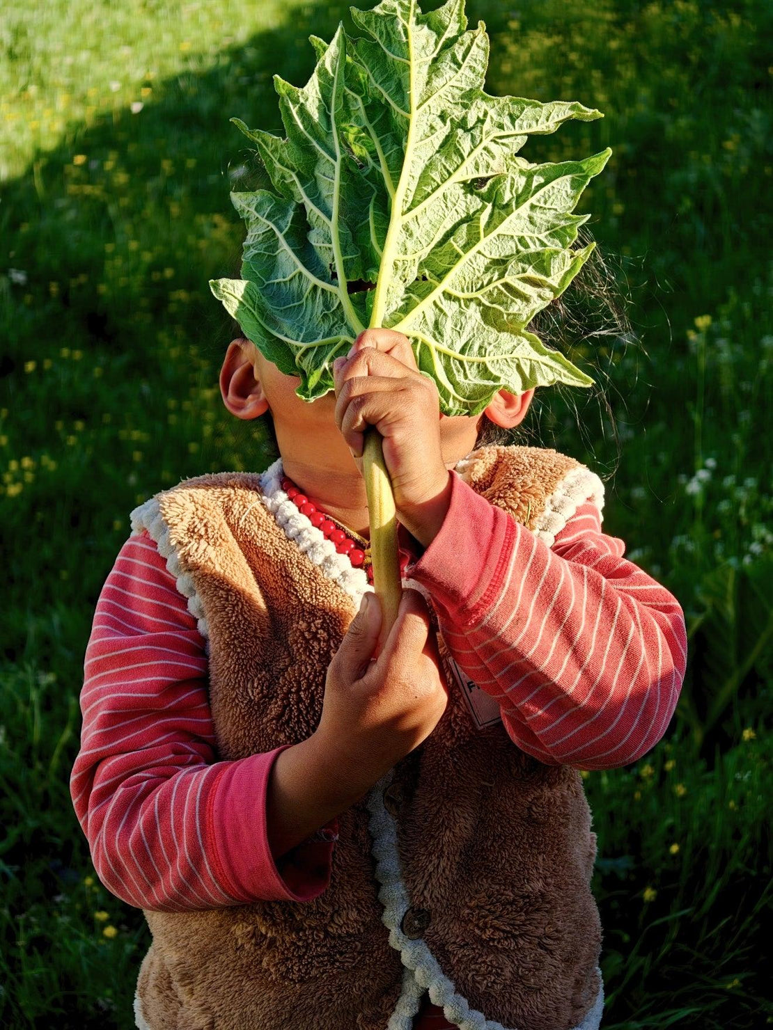 OresGreen social commitment: A young local Himalayan child playfully holding a large green alpine leaf over their face, symbolizing the innocent spirit of Tibetan mountain communities supported by the brand.